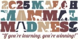 March Mammal Madness