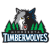 Info about the Timberwolves