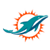 Info about Dolphins