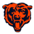 Info about Bears