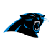 Info about Panthers