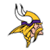 Info about Vikings