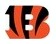 Info about Bengals