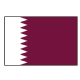Info about Qatar