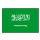 Info about Saudi Arabia
